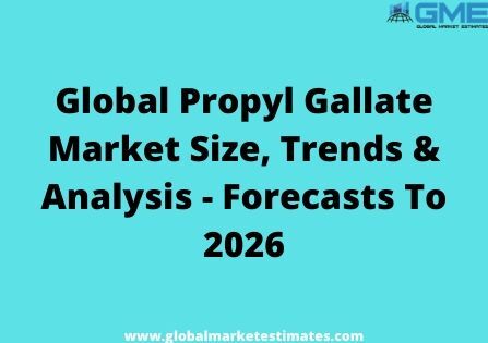 How is the progress of the global propyl gallate market?